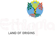 ethiopian tourism